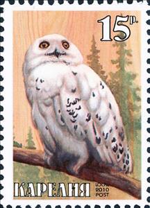 Stamp, Owl, Cinderellas,  , Animals (Fauna), Birds, Owls