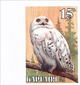 Stamp, Owl, Cinderellas,  , Animals (Fauna), Birds, Owls