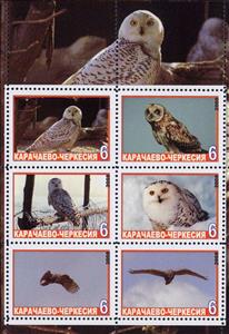 Mini Sheet, Owls, Cinderellas,  , Animals (Fauna), Birds, Owls