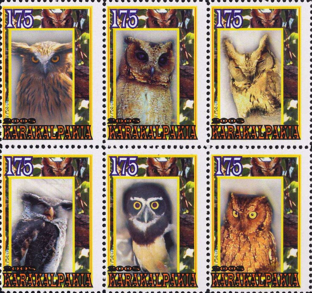 Owls