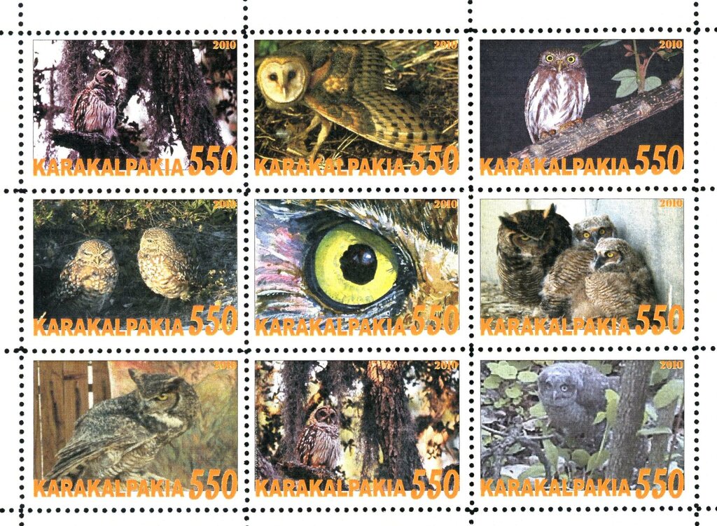 Owls