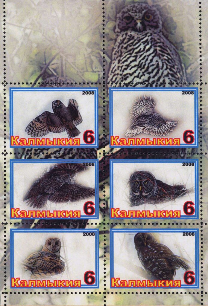 Owls