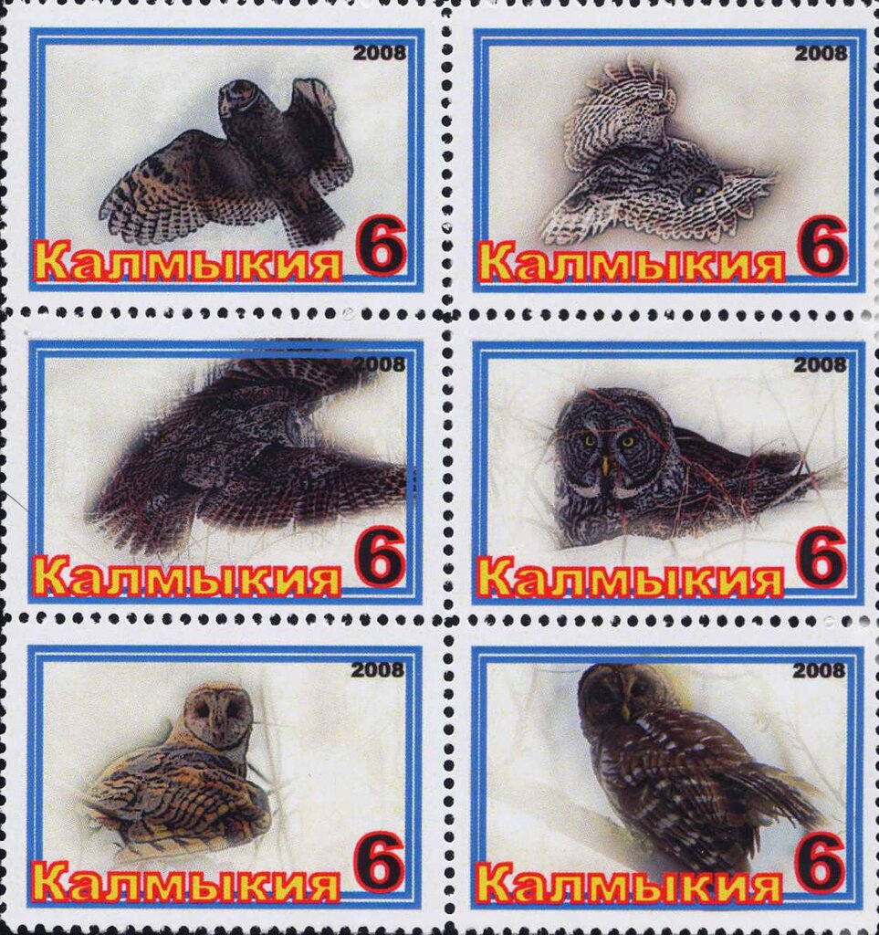 Owls