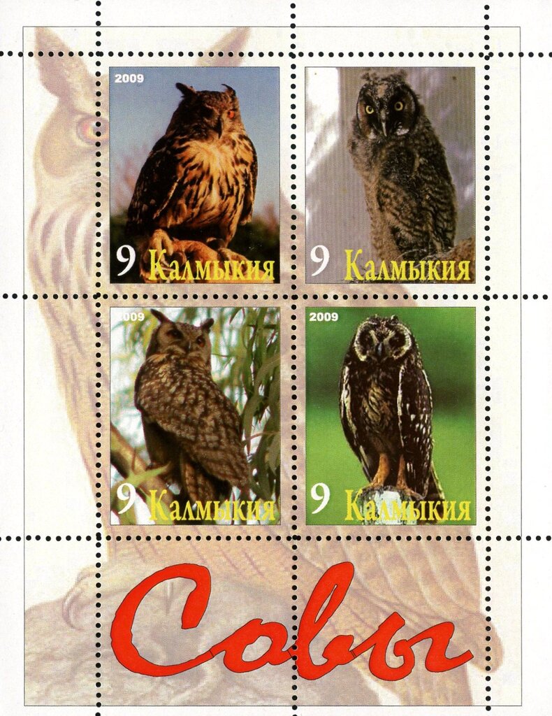 Owls