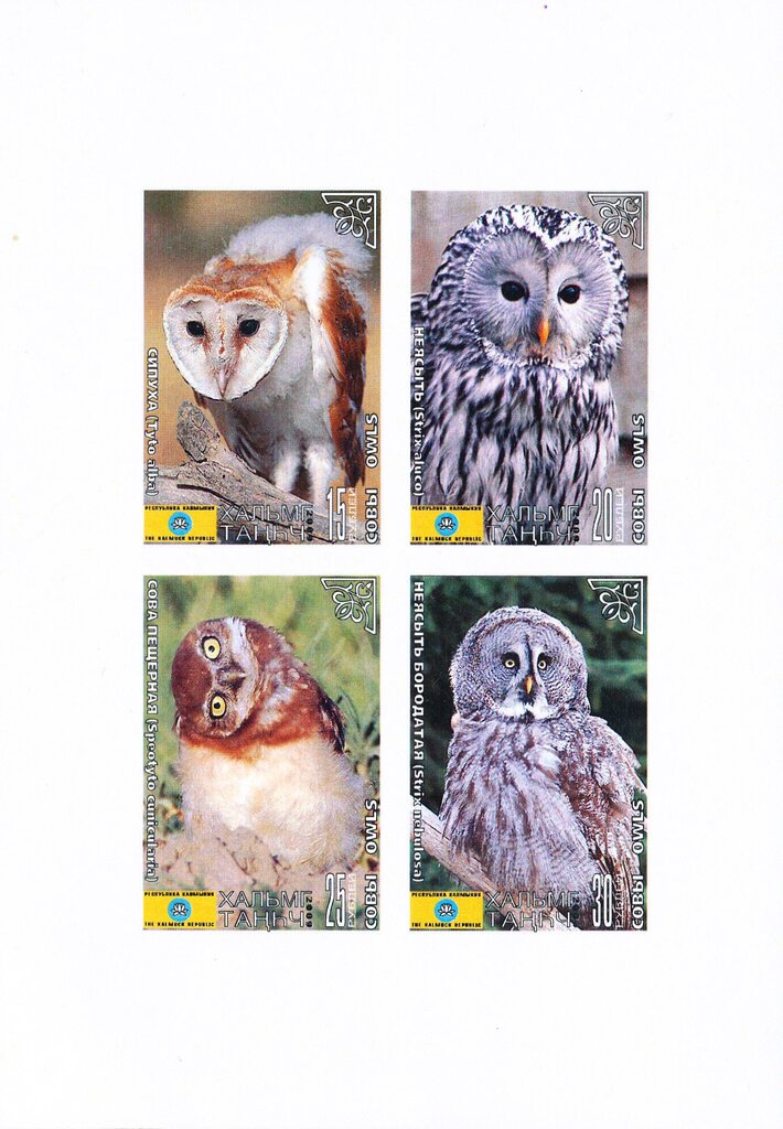 Owls