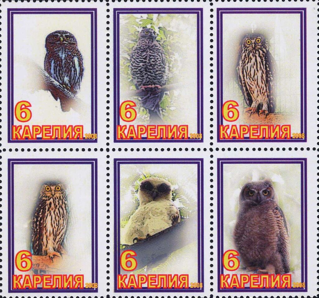 Owls