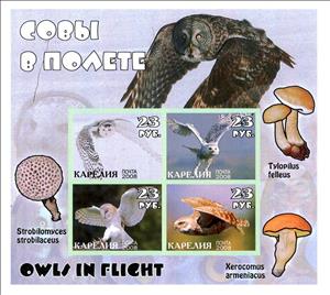 Mini Sheet, Owls, Cinderellas,  , Animals (Fauna), Birds, Owls