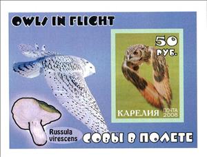 Souvenir Sheet, Owls, Cinderellas,  , Animals (Fauna), Birds, Owls