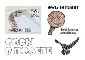 Souvenir Sheet, Owls, Cinderellas,  , Animals (Fauna), Birds, Mushrooms, Owls