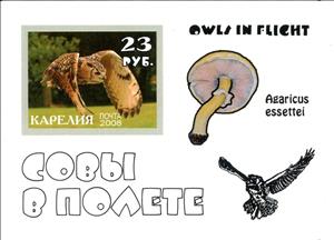 Souvenir Sheet, Owls, Cinderellas,  , Animals (Fauna), Birds, Mushrooms, Owls