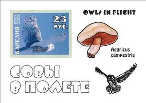 Souvenir Sheet, Owls, Cinderellas,  , Animals (Fauna), Birds, Mushrooms, Owls