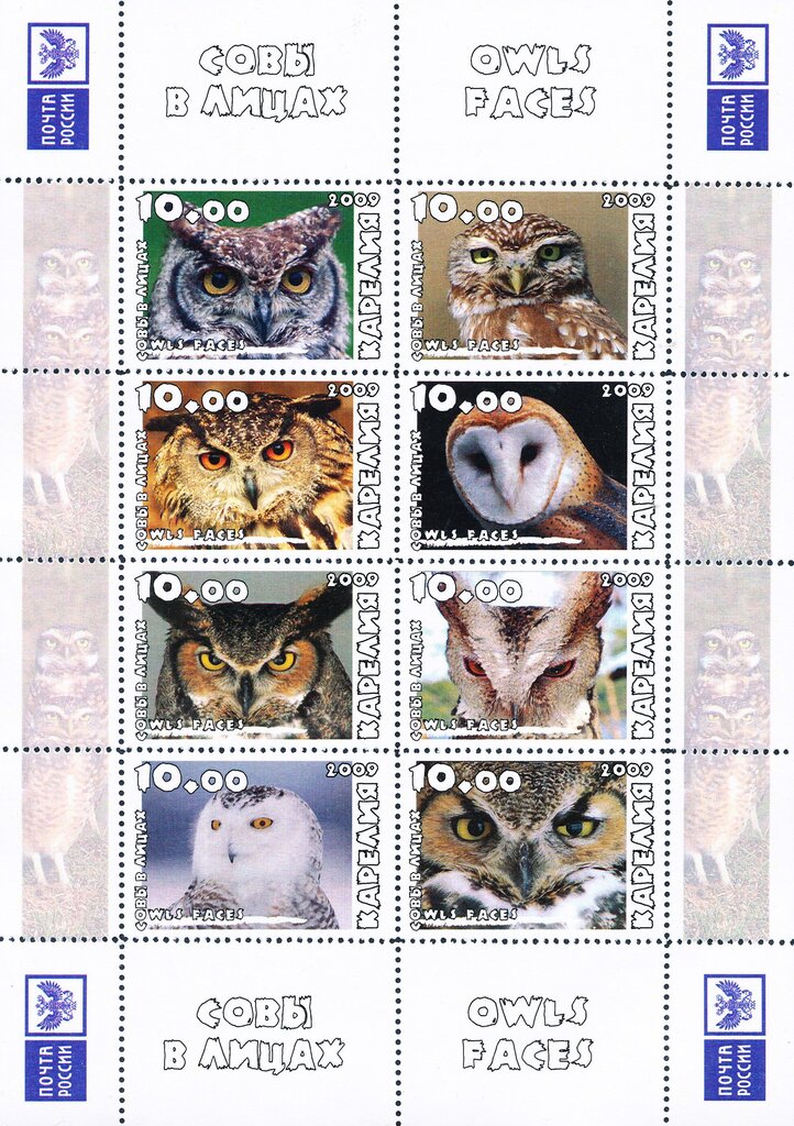 Owls