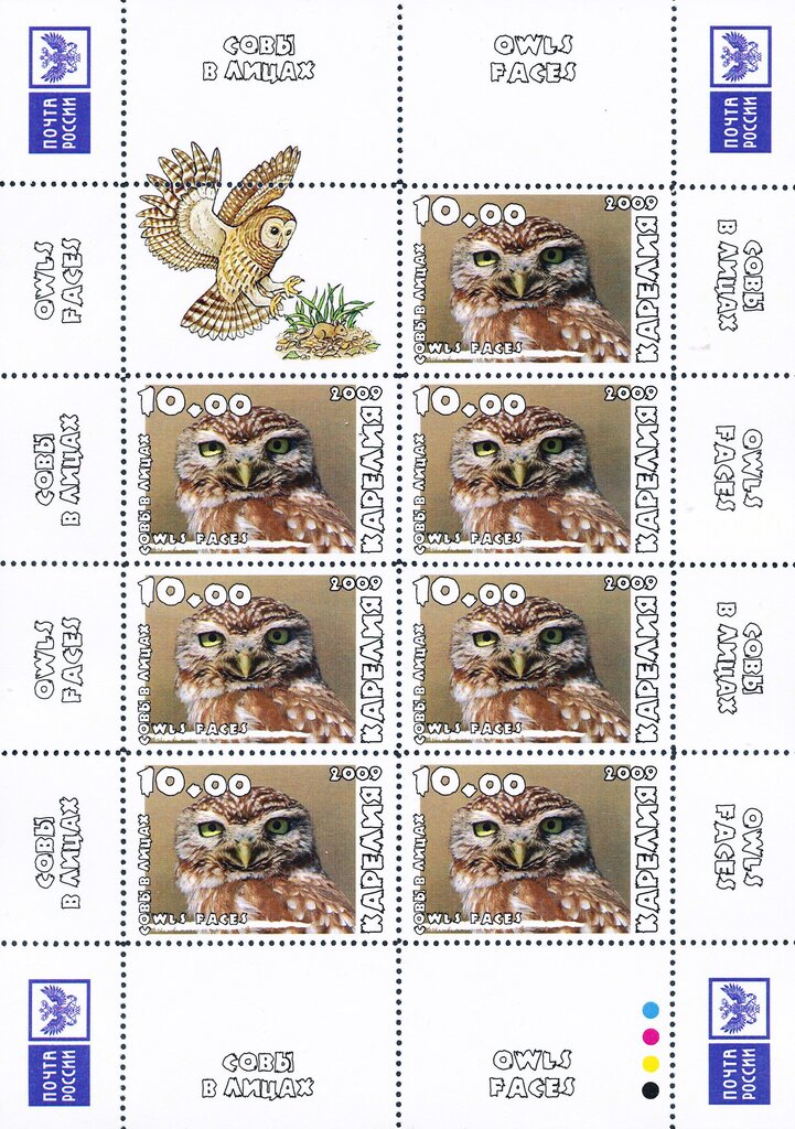 Owls