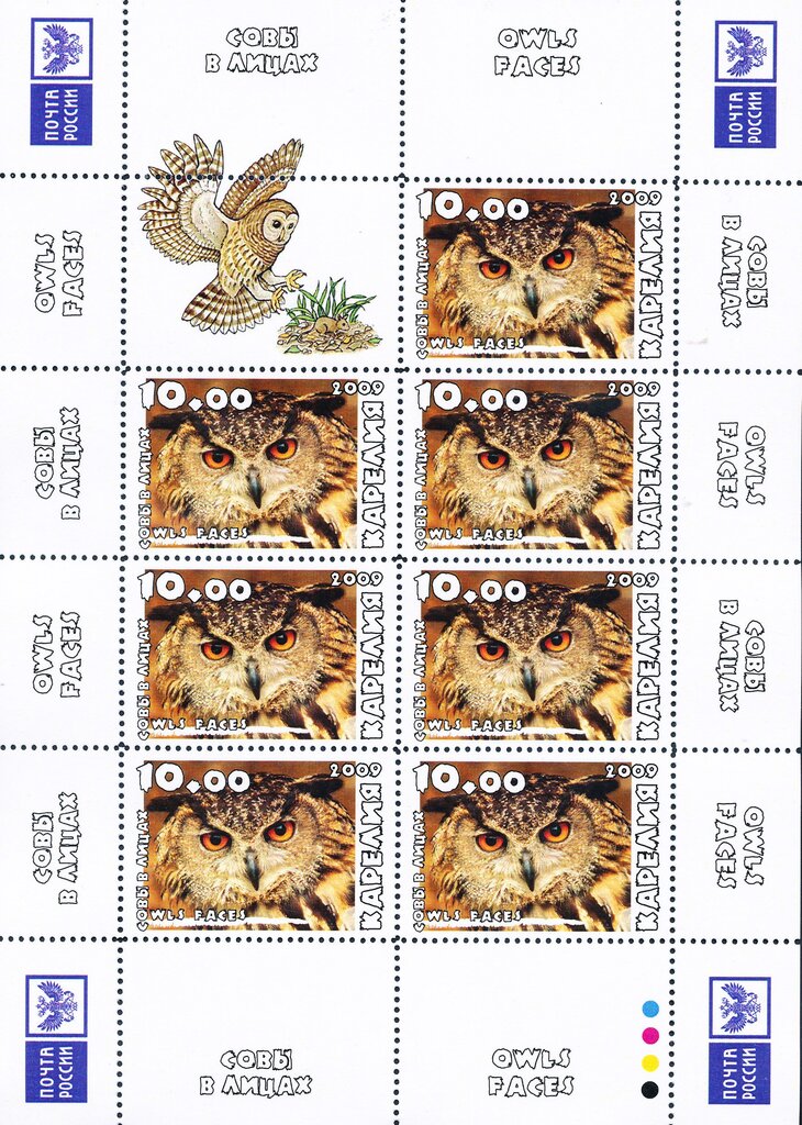 Owls