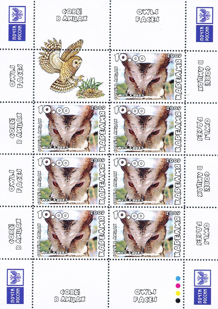 Owls