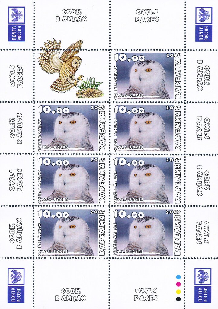 Owls