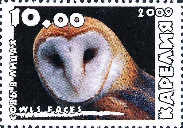 Owls