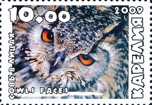 Owls