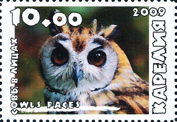 Owls