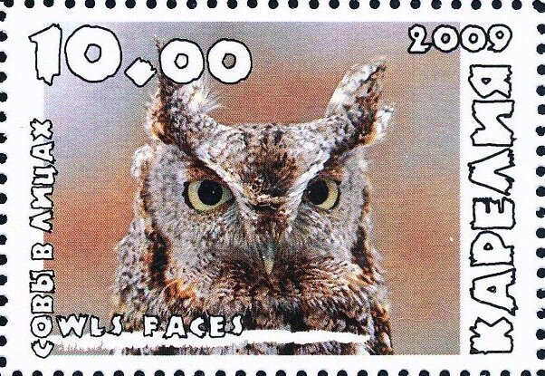 Owls