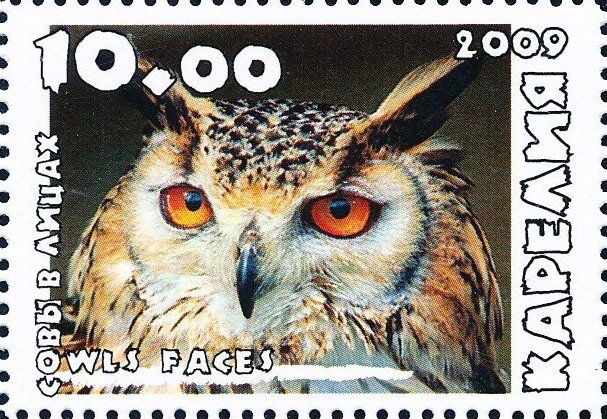Owls