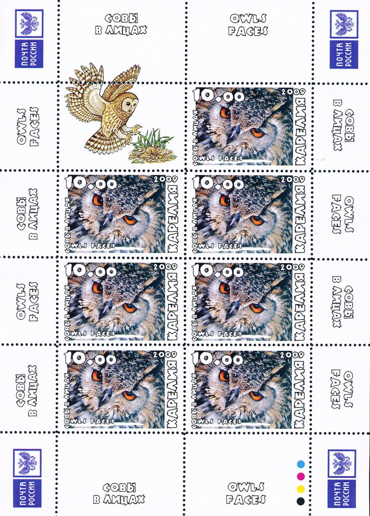 Owls