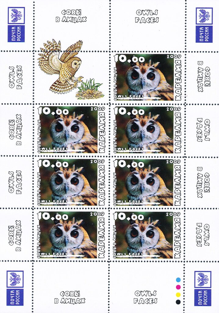 Owls