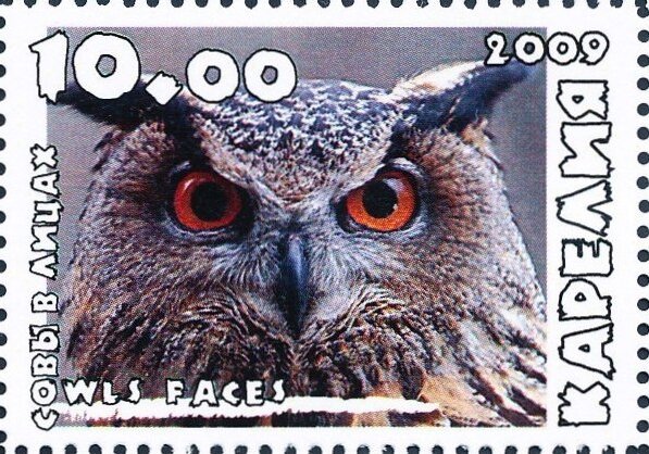 Owls