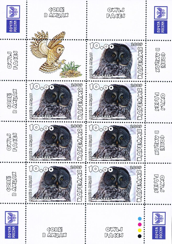Owls