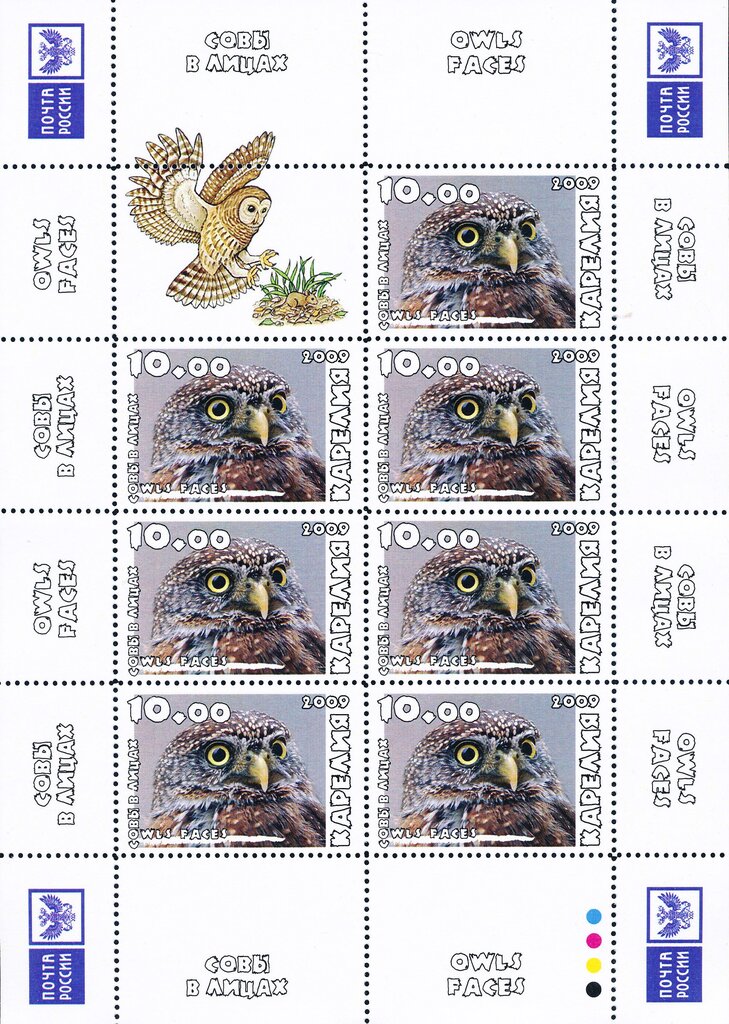 Owls