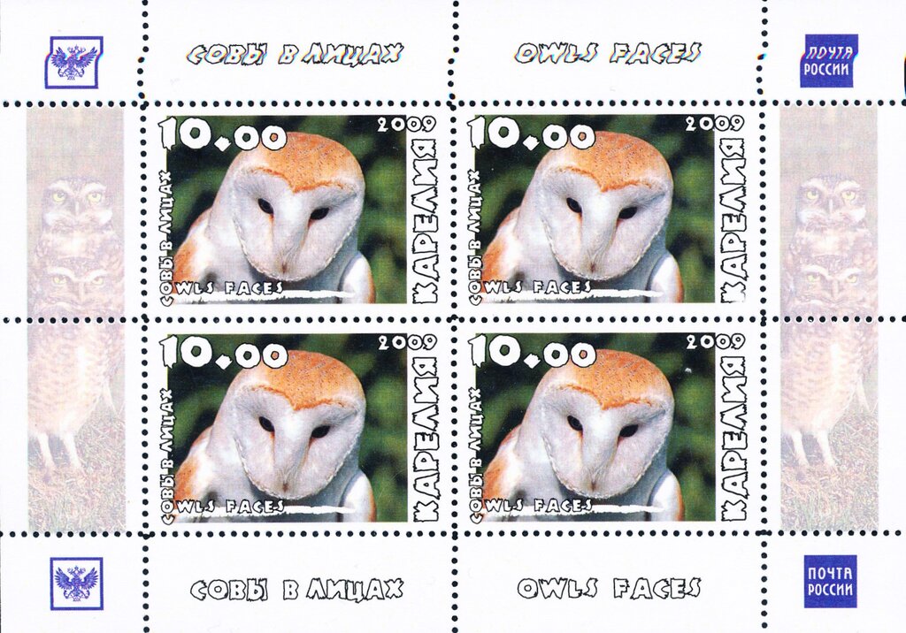 Owls