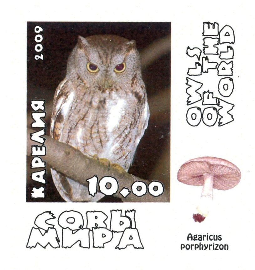 Owls