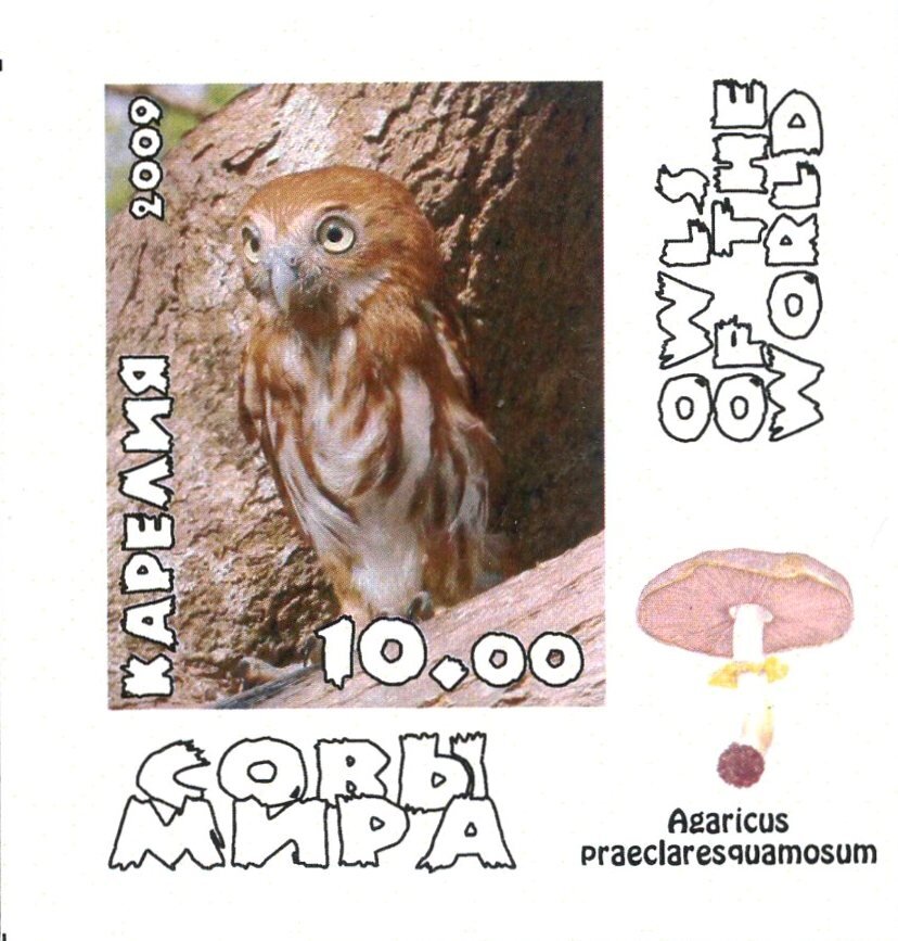 Owls