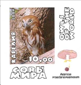 Stamp, Owls, Cinderellas,  , Animals (Fauna), Birds, Owls
