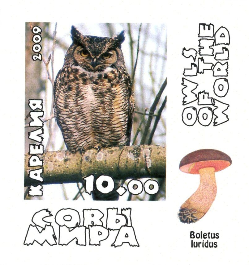 Owls