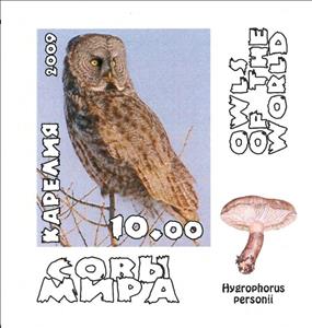 Stamp, Owls, Cinderellas,  , Animals (Fauna), Birds, Birds of Prey, Owls