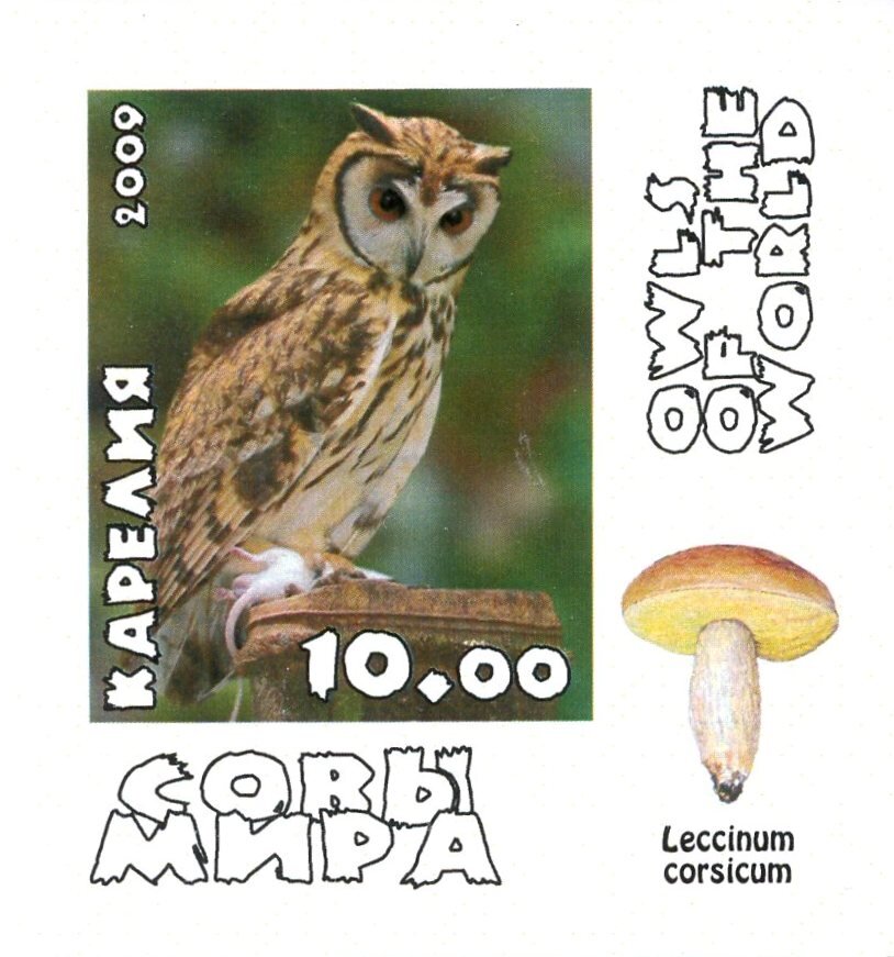 Owls