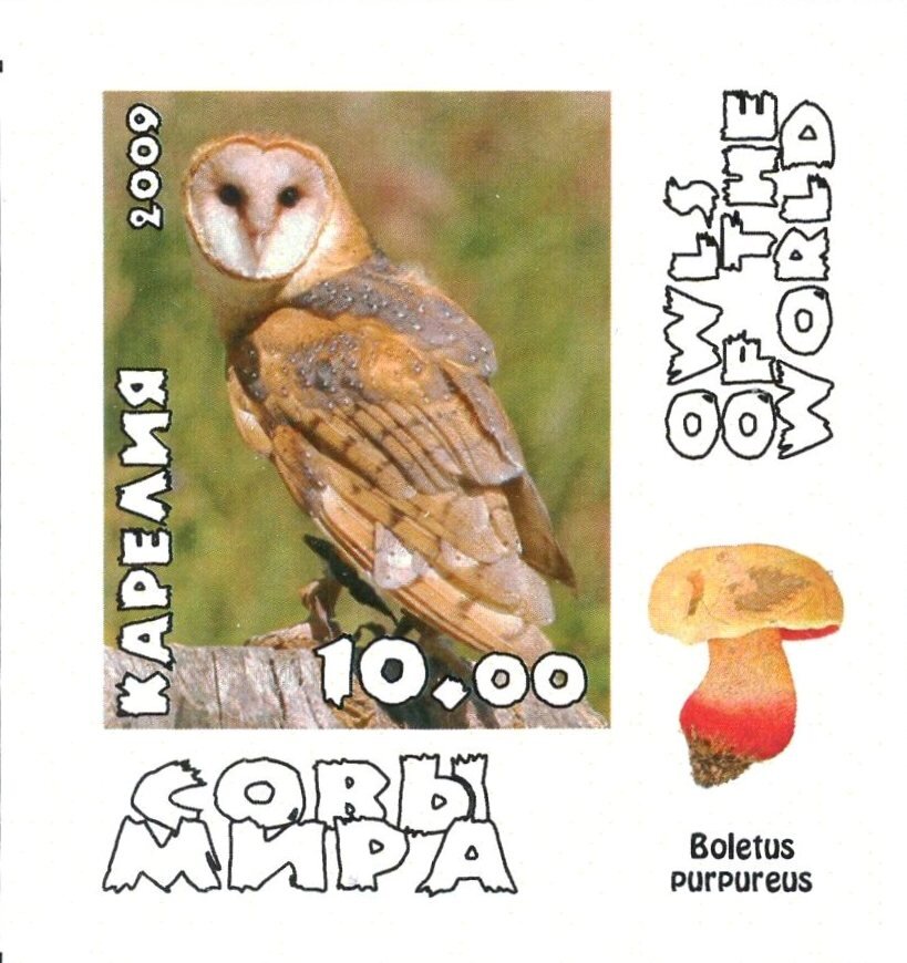 Owls
