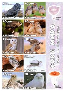 Mini Sheet, Owls, Cinderellas,  , Animals (Fauna), Birds, Birds of Prey, Owls