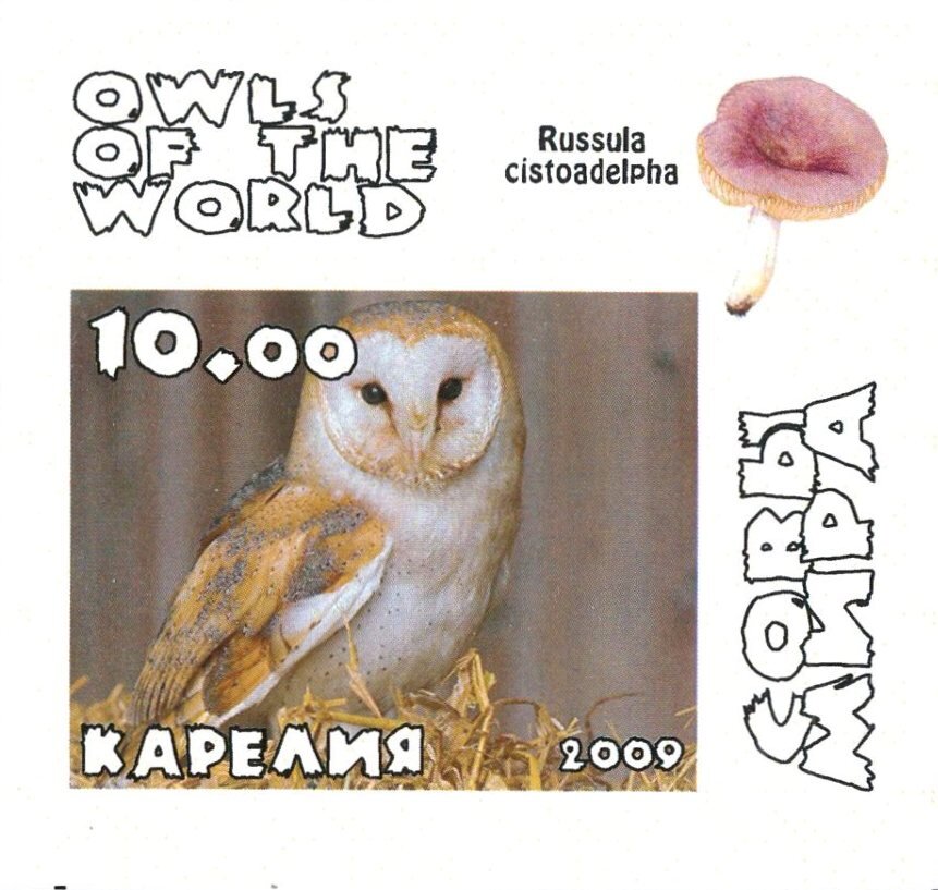Owls