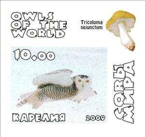 Stamp, Owls, Cinderellas,  , Animals (Fauna), Birds, Birds of Prey, Owls