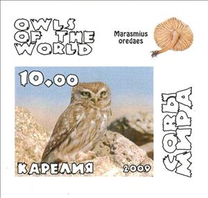 Stamp, Owls, Cinderellas,  , Animals (Fauna), Birds, Birds of Prey, Owls