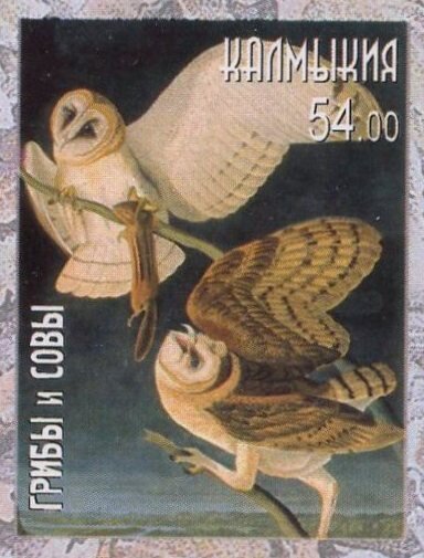 Owls