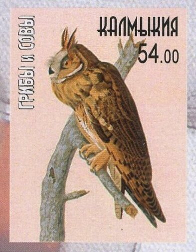 Owls
