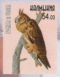 Stamp, Owls, Cinderellas,  , Animals (Fauna), Birds, Owls