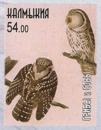 Owls