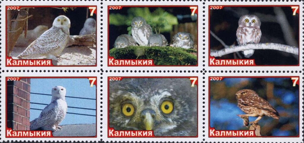 Owls