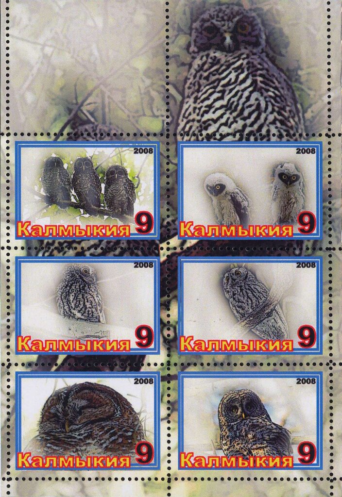 Owls