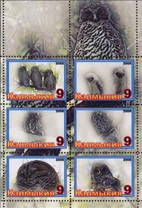 Mini Sheet, Owls, Cinderellas,  , Animals (Fauna), Birds, Owls