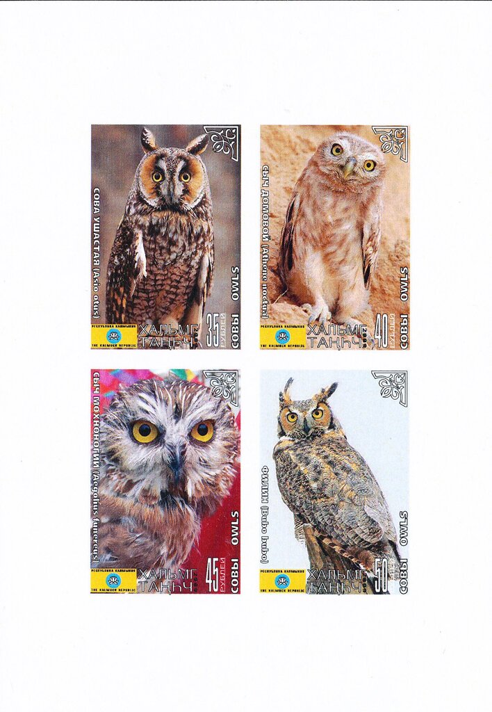 Owls